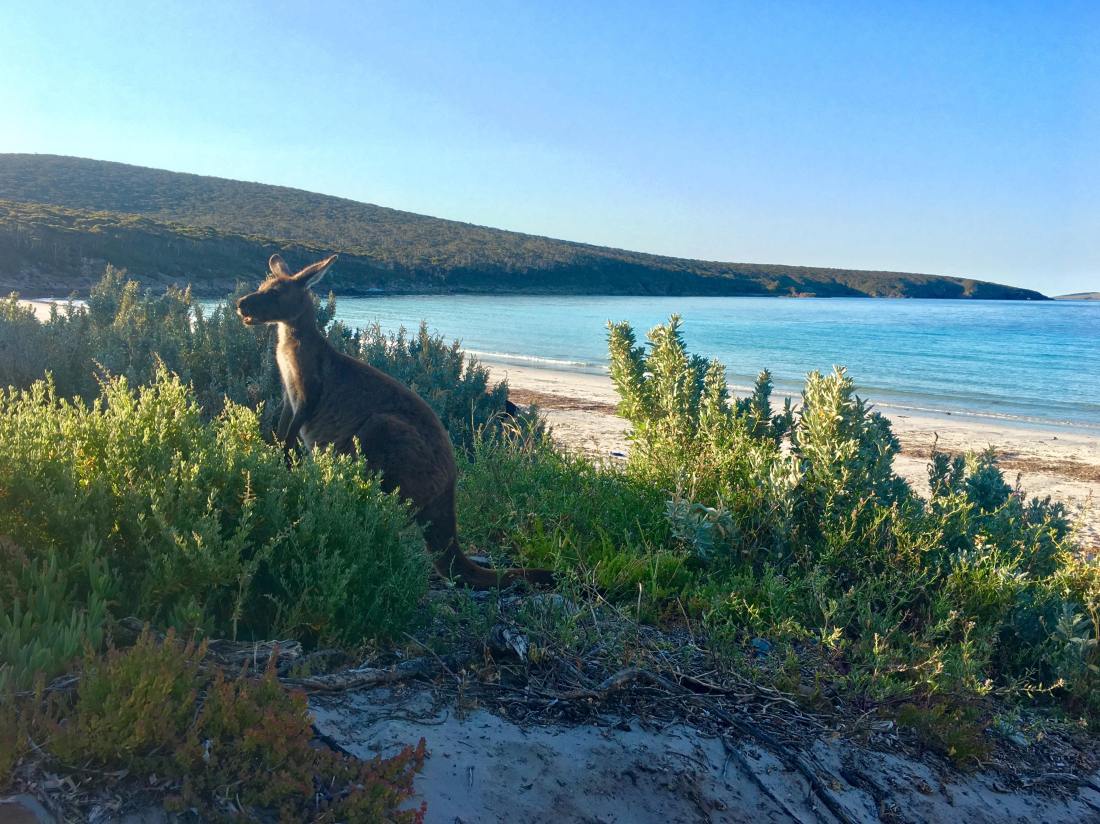 45047248_318157072105032_8522041819159068672_n