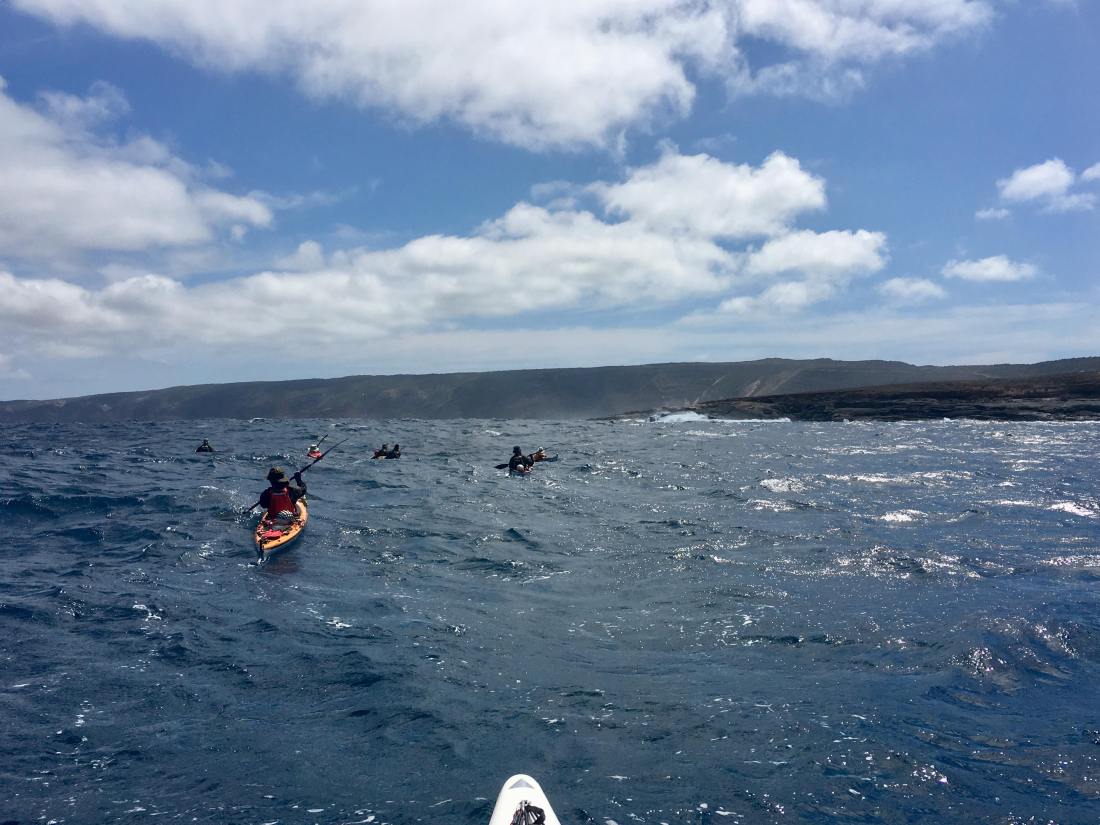 45138448_343333539734765_5345070410276798464_n