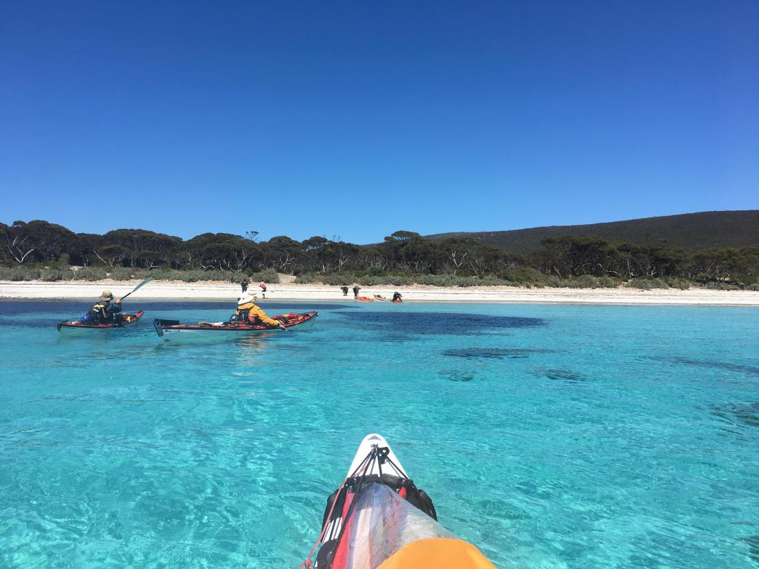 45144628_522283954902817_6848932262415695872_n